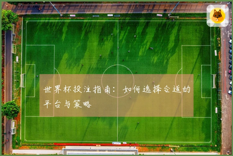 世界杯投注指南：如何选择合适的平台与策略