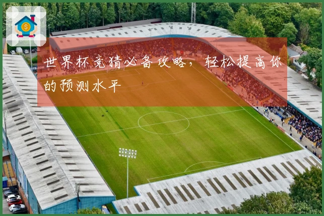 世界杯竞猜必备攻略，轻松提高你的预测水平
