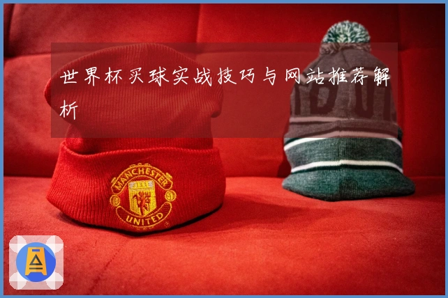 世界杯买球实战技巧与网站推荐解析