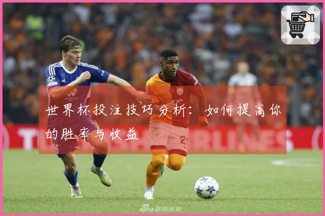 世界杯投注技巧分析：如何提高你的胜率与收益