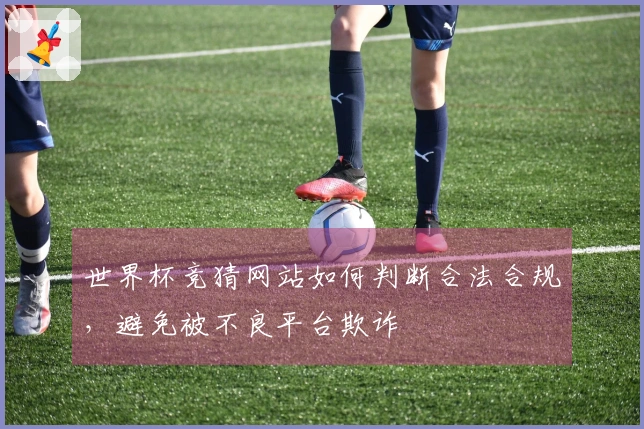 世界杯竞猜网站如何判断合法合规，避免被不良平台欺诈