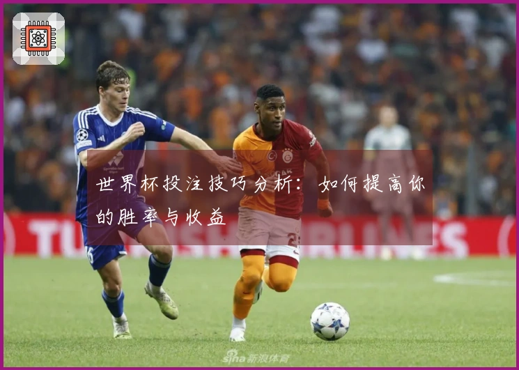 世界杯投注技巧分析：如何提高你的胜率与收益
