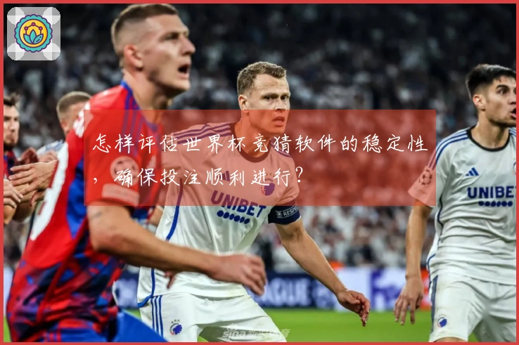 怎样评估世界杯竞猜软件的稳定性，确保投注顺利进行？