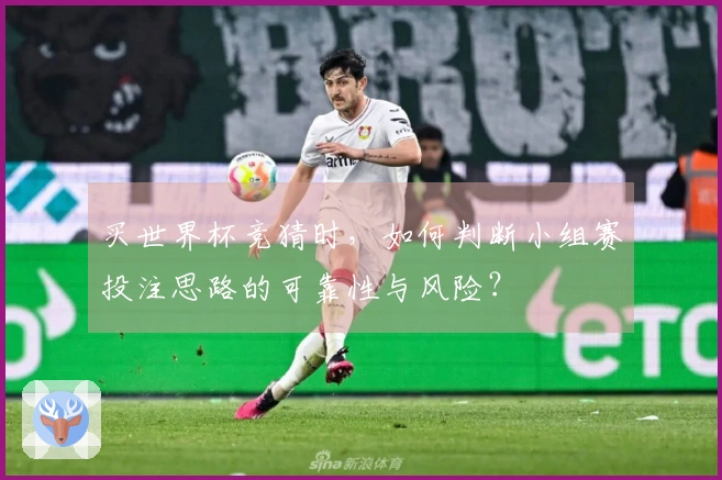 买世界杯竞猜时，如何判断小组赛投注思路的可靠性与风险？