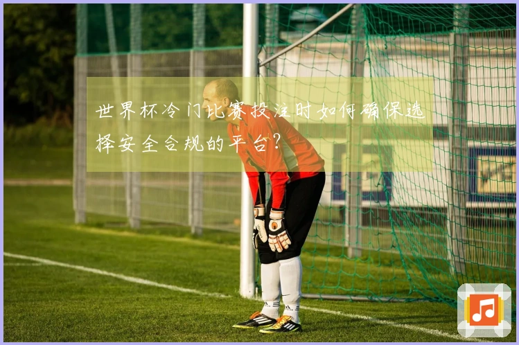 世界杯冷门比赛投注时如何确保选择安全合规的平台？