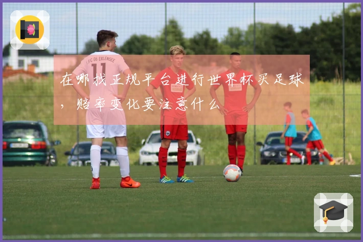 在哪找正规平台进行世界杯买足球，赔率变化要注意什么