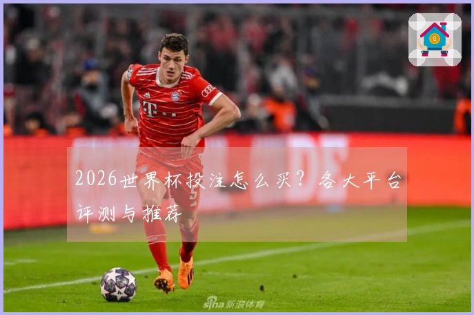 2026世界杯投注怎么买？各大平台评测与推荐
