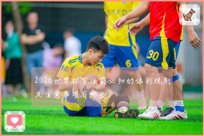 2026世界杯下注前必知的体彩规则及注意事项有哪些？
