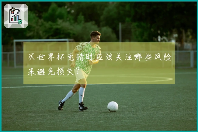 买世界杯竞猜时应该关注哪些风险来避免损失？