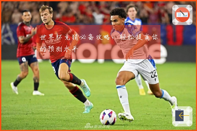 世界杯竞猜必备攻略，轻松提高你的预测水平