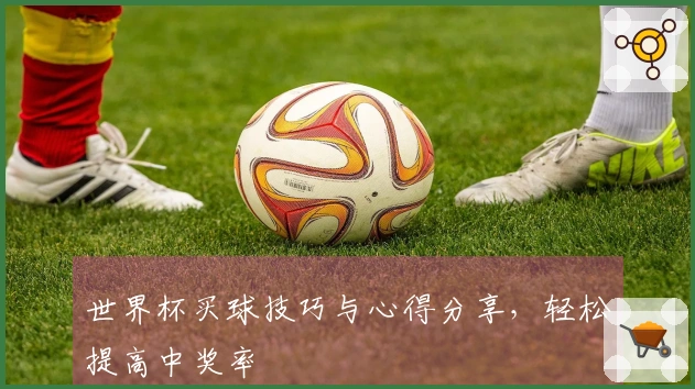 世界杯买球技巧与心得分享，轻松提高中奖率