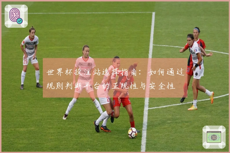 世界杯投注站选择指南：如何通过规则判断平台的正规性与安全性