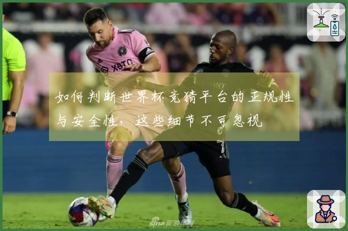 如何判断世界杯竞猜平台的正规性与安全性，这些细节不可忽视
