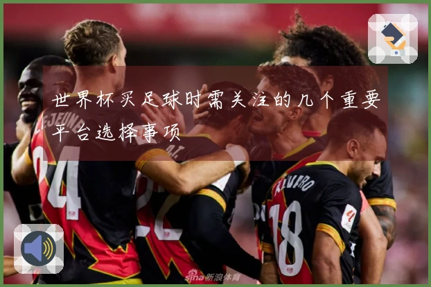 世界杯买足球时需关注的几个重要平台选择事项