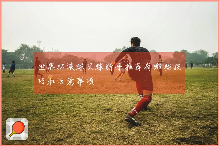 世界杯滚球买球新手推荐有哪些技巧和注意事项