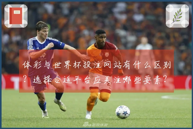 体彩与世界杯投注网站有什么区别？选择合适平台应关注哪些要素？