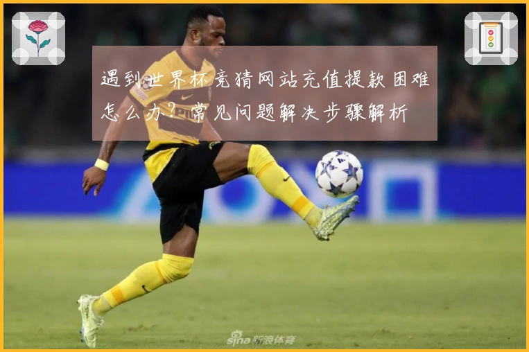 遇到世界杯竞猜网站充值提款困难怎么办？常见问题解决步骤解析