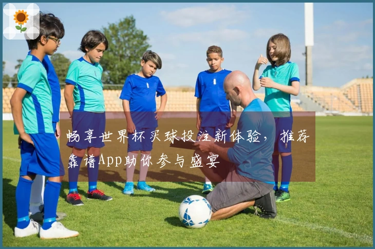 畅享世界杯买球投注新体验，推荐靠谱App助你参与盛宴
