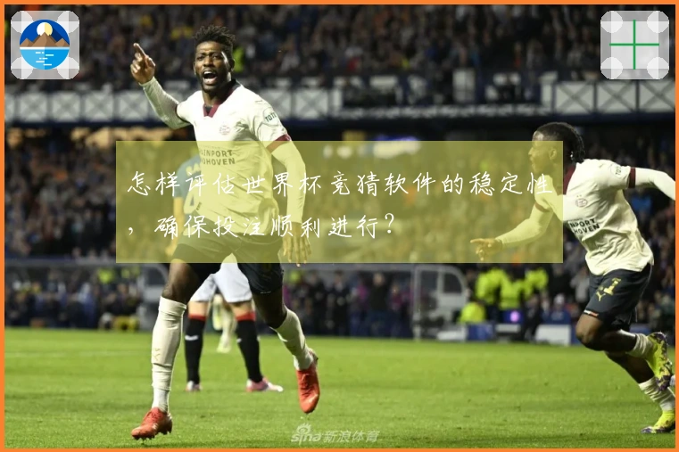 怎样评估世界杯竞猜软件的稳定性，确保投注顺利进行？