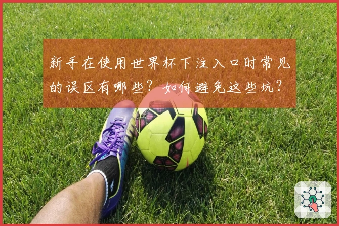 新手在使用世界杯下注入口时常见的误区有哪些？如何避免这些坑？