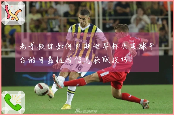 老手教你如何判断世界杯买足球平台的可靠性与信息获取技巧