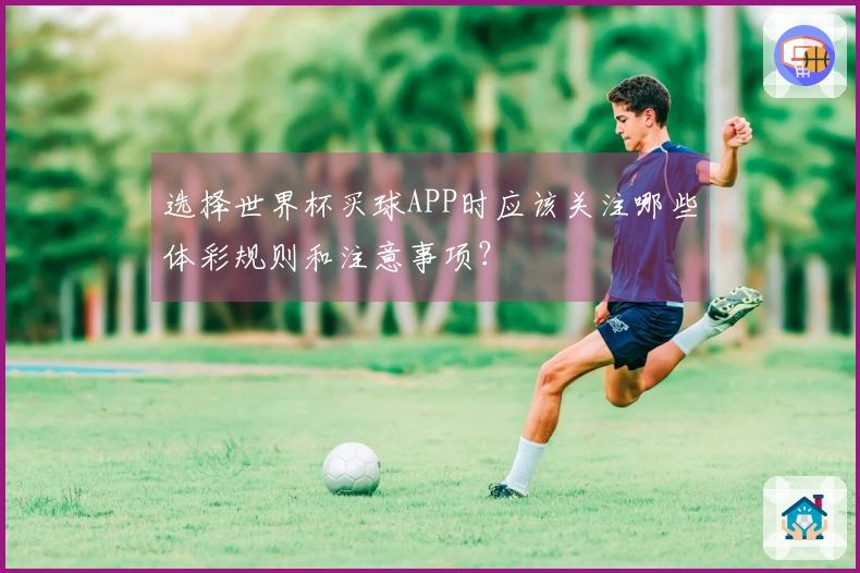 选择世界杯买球APP时应该关注哪些体彩规则和注意事项？