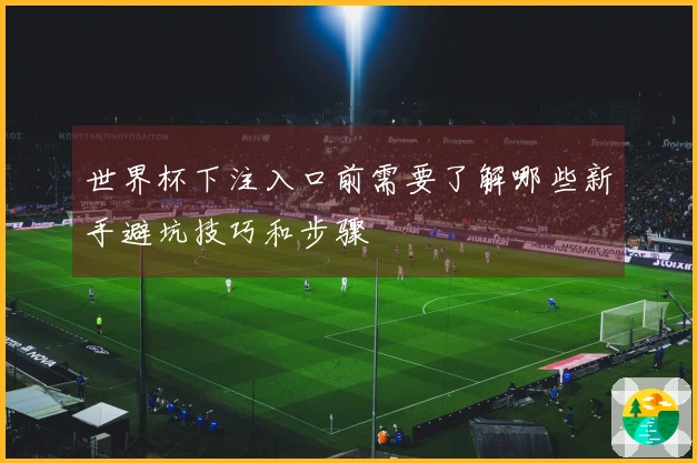 世界杯下注入口前需要了解哪些新手避坑技巧和步骤