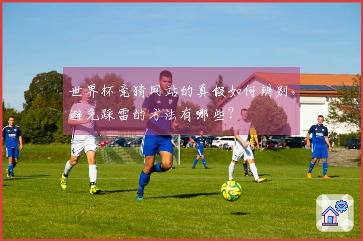 世界杯竞猜网站的真假如何辨别，避免踩雷的方法有哪些？