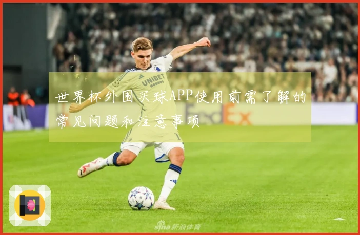 世界杯外围买球APP使用前需了解的常见问题和注意事项
