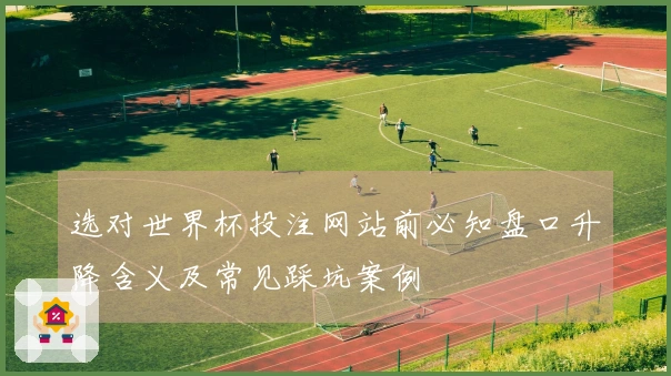 选对世界杯投注网站前必知盘口升降含义及常见踩坑案例