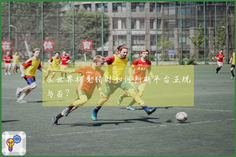 买世界杯竞猜时如何判断平台正规与否？