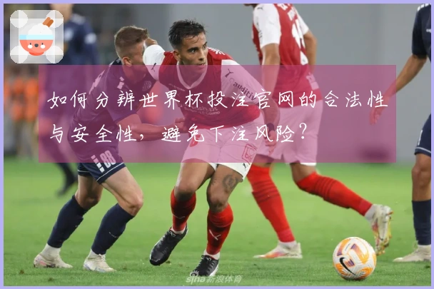 如何分辨世界杯投注官网的合法性与安全性，避免下注风险？