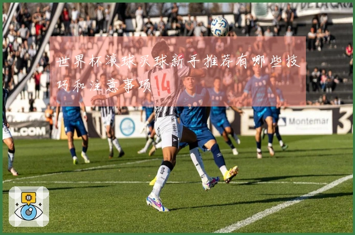 世界杯滚球买球新手推荐有哪些技巧和注意事项