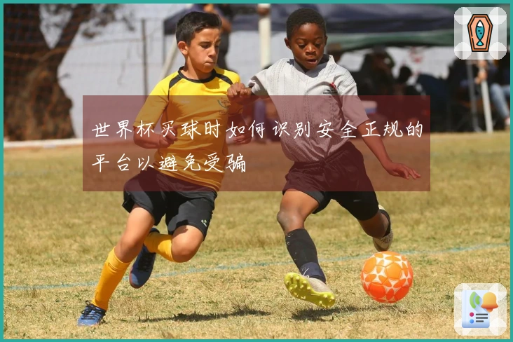 世界杯买球时如何识别安全正规的平台以避免受骗