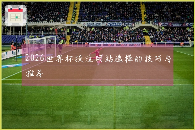 2026世界杯投注网站选择的技巧与推荐