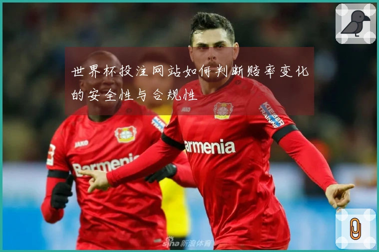 世界杯投注网站如何判断赔率变化的安全性与合规性