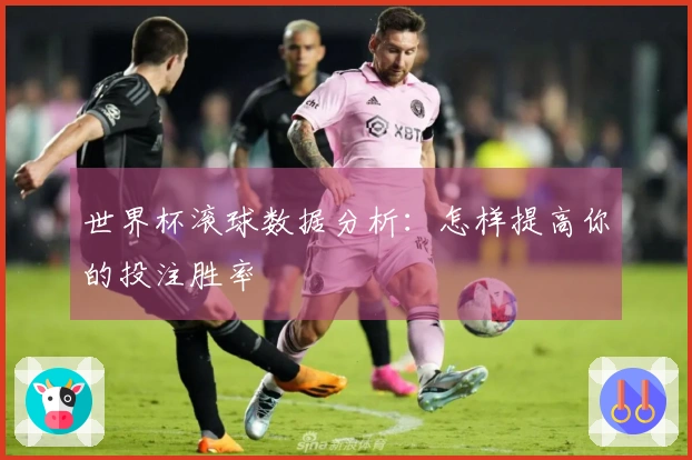 世界杯滚球数据分析：怎样提高你的投注胜率