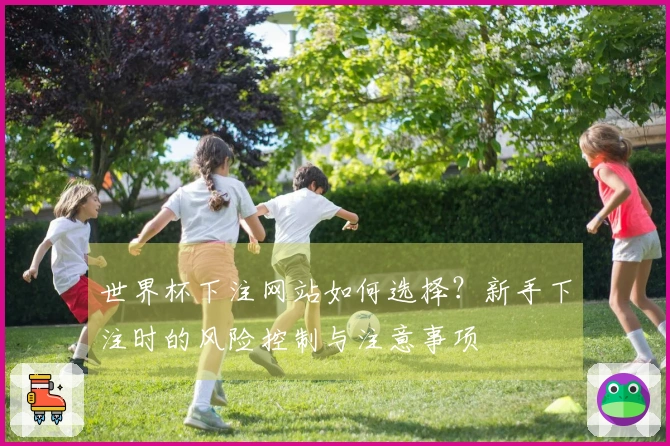 世界杯下注网站如何选择？新手下注时的风险控制与注意事项