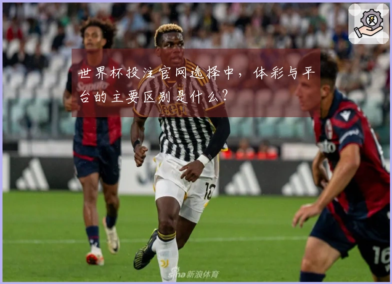 世界杯投注官网选择中，体彩与平台的主要区别是什么？