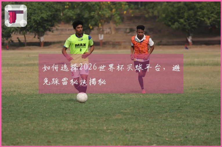 如何选择2026世界杯买球平台，避免踩雷秘诀揭秘