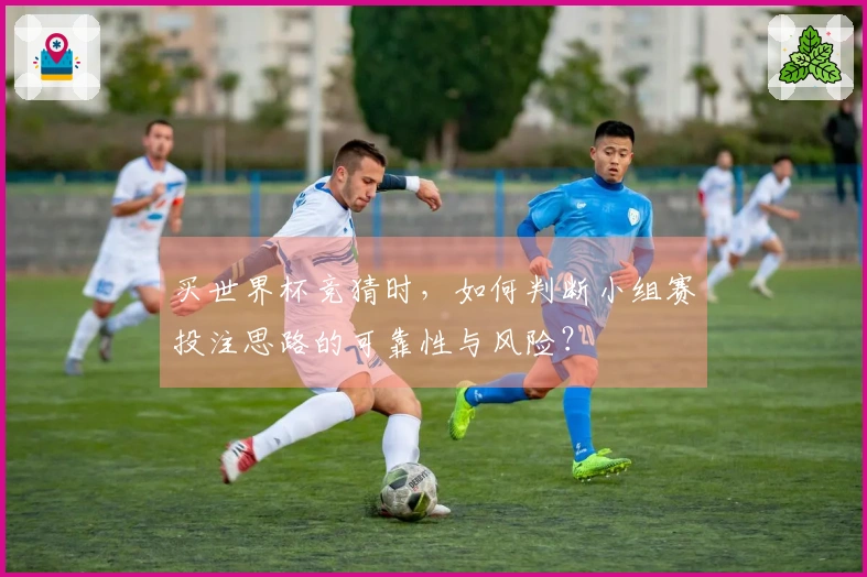 买世界杯竞猜时，如何判断小组赛投注思路的可靠性与风险？