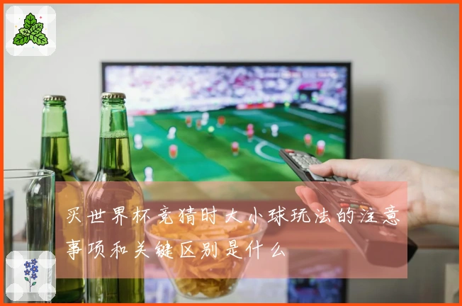 买世界杯竞猜时大小球玩法的注意事项和关键区别是什么