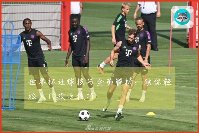 世界杯让球技巧全面解析，助你轻松入门投注技巧
