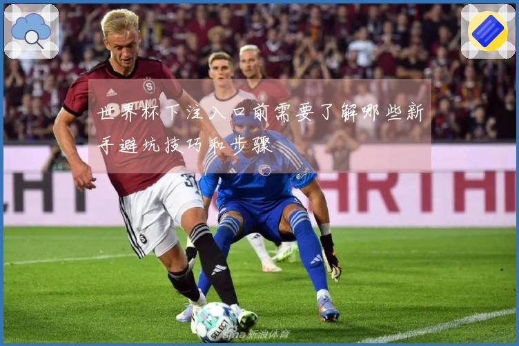世界杯下注入口前需要了解哪些新手避坑技巧和步骤