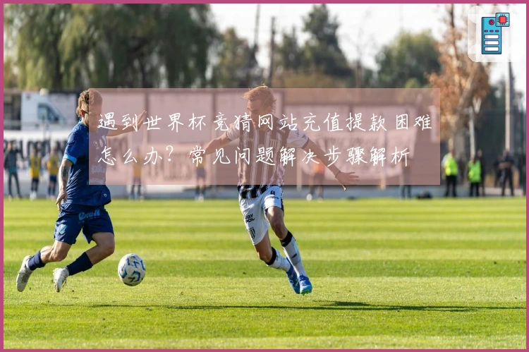 遇到世界杯竞猜网站充值提款困难怎么办？常见问题解决步骤解析