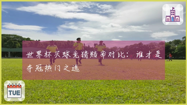 世界杯买球竞猜赔率对比：谁才是夺冠热门之选