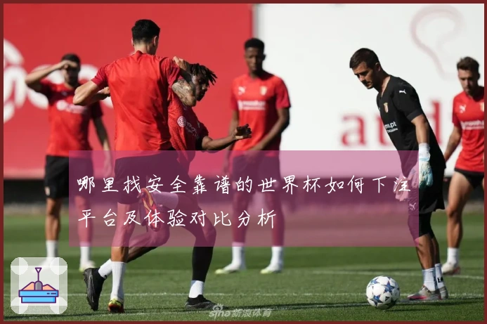 哪里找安全靠谱的世界杯如何下注平台及体验对比分析