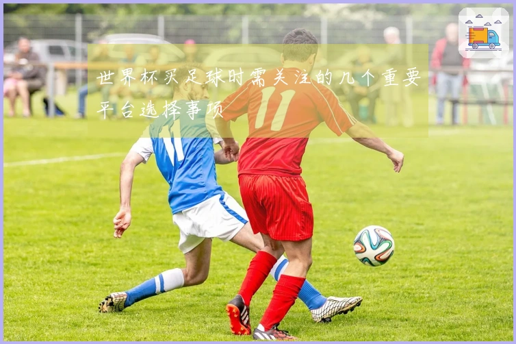 世界杯买足球时需关注的几个重要平台选择事项
