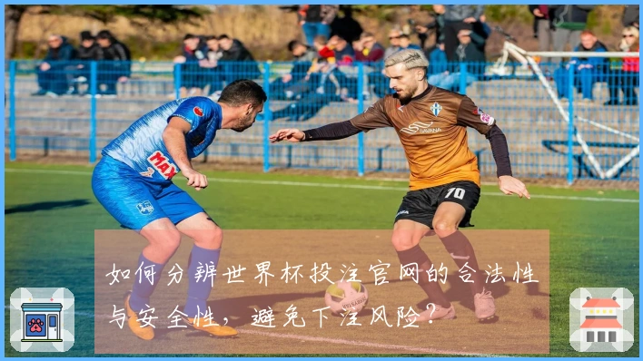 如何分辨世界杯投注官网的合法性与安全性，避免下注风险？