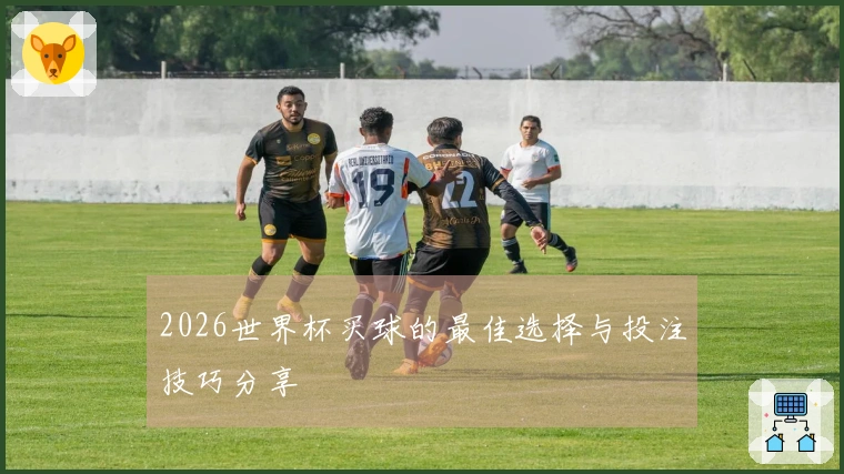 2026世界杯买球的最佳选择与投注技巧分享